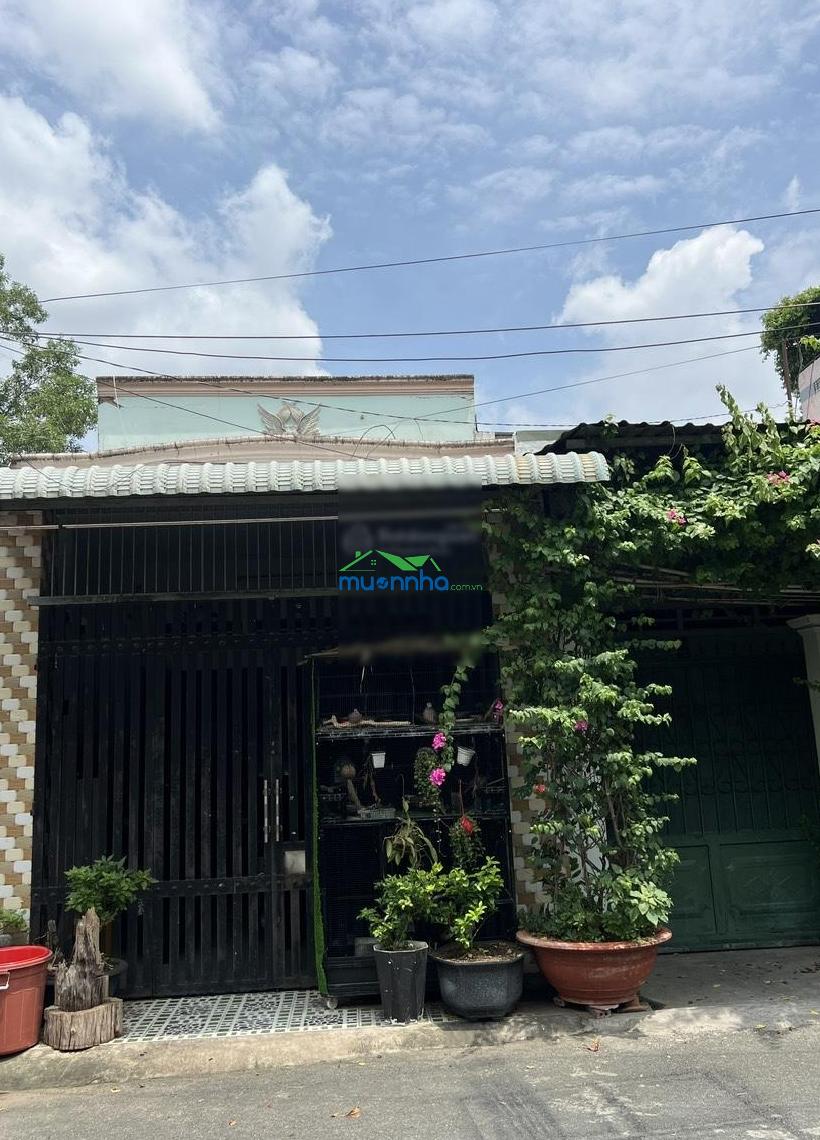 Chính chủ bán nhà cấp 4 đường nguyễn văn tăng, long thạnh mỹ, thủ đức (cũ), hồ chí minh - 2