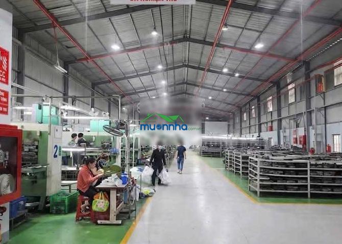 Cho thuê nhà xưởng bình chuẩn thuận an - tổng diện tích đất: 4.200m2 - diện tích xưởng: 3.000m2 - 3