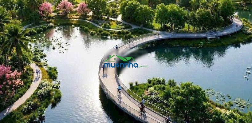 Vin home hóc môn mở bán giai đoạn 1 - lịch biểu thanh toán linh hoạt - chiết khấu khủng - 3