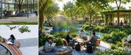 Cùng 6,59 tỷ đồng, nên mua căn hộ hay nhà phố vinhomes saigon park hóc môn?