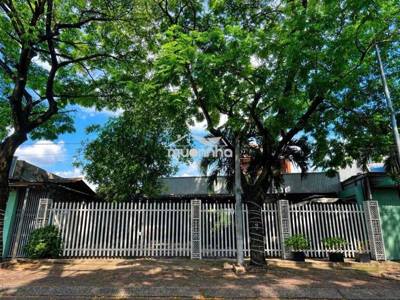 Cho thuê mặt bằng phú thọ, thủ dầu một  - diện tích  : 14x45 (660m2) c