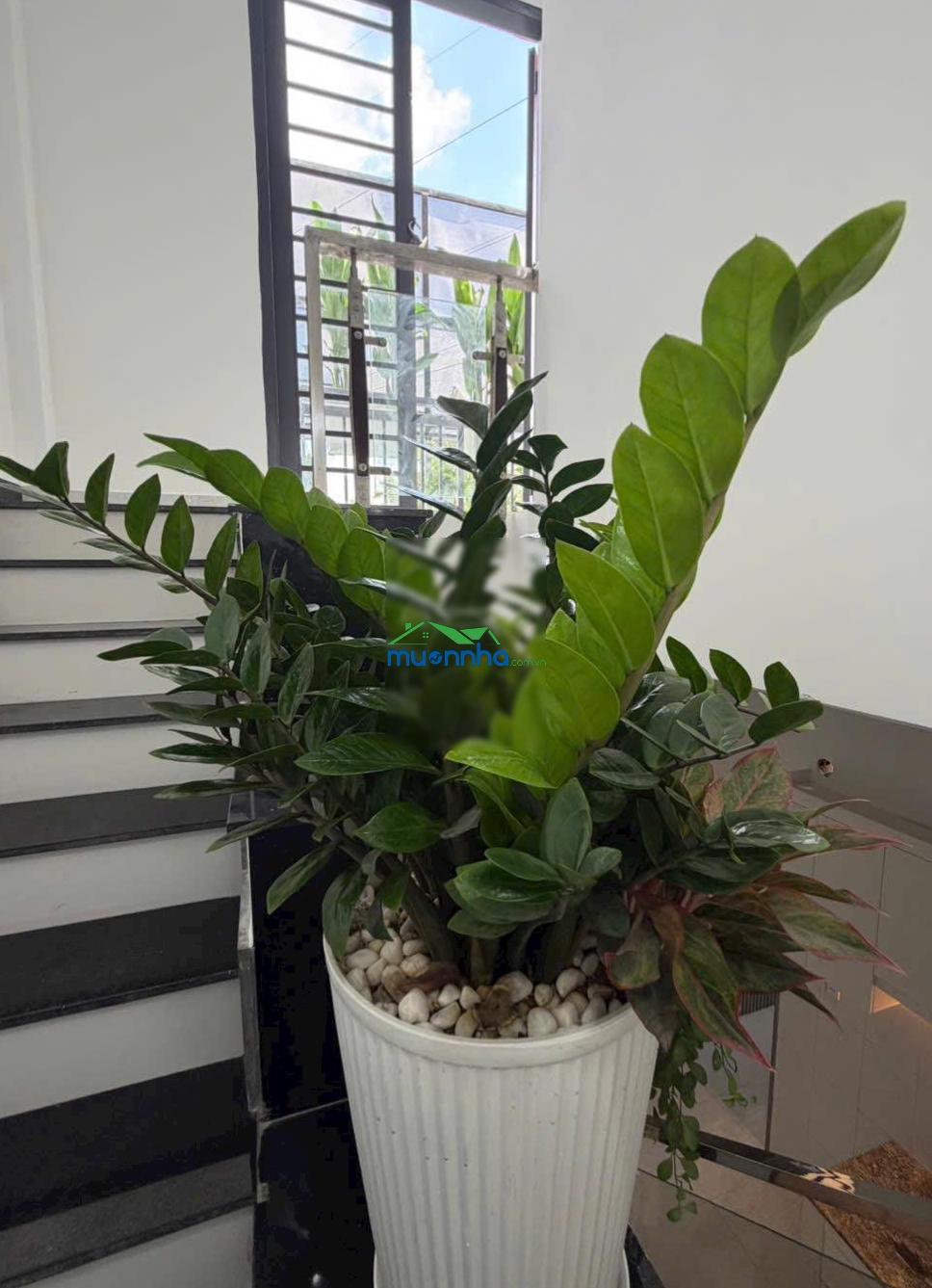 Giá tốt nhà 1 lầu 2 mặt tiền sát ngã tư ga 5.8m x 15m - 77,6m2 - hẻm thông xe hơi, gần hà huy giap - 3