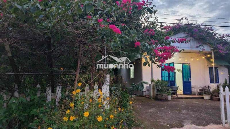 Cho thuê nhà và đất 2.000m2