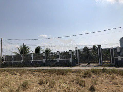 Cho thuê đất 1000m2 làm kho xưởng tại nhựt tảo, tây ninh, giá tốt - 3