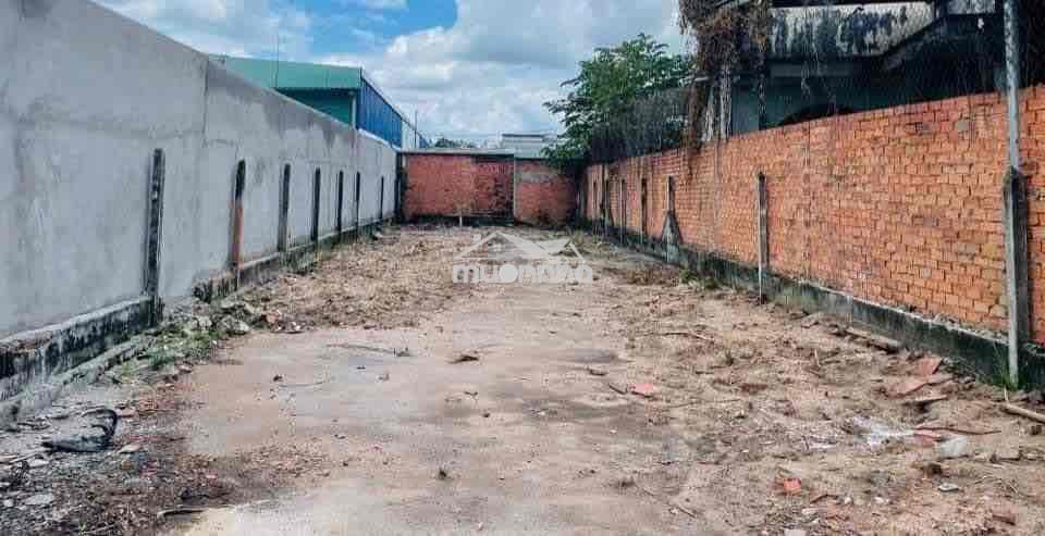 Mặt tiền nguyễn thị se 200m2 full thổ cần bán gấp lấy tiền chữa bệnh - 3