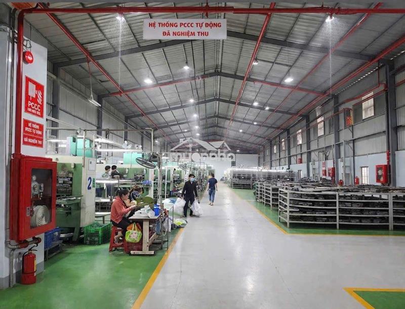 Cho thuê 3000m2 xưởng thuận an , pccc tự động , đ.cont , g.tờ đầy đủ