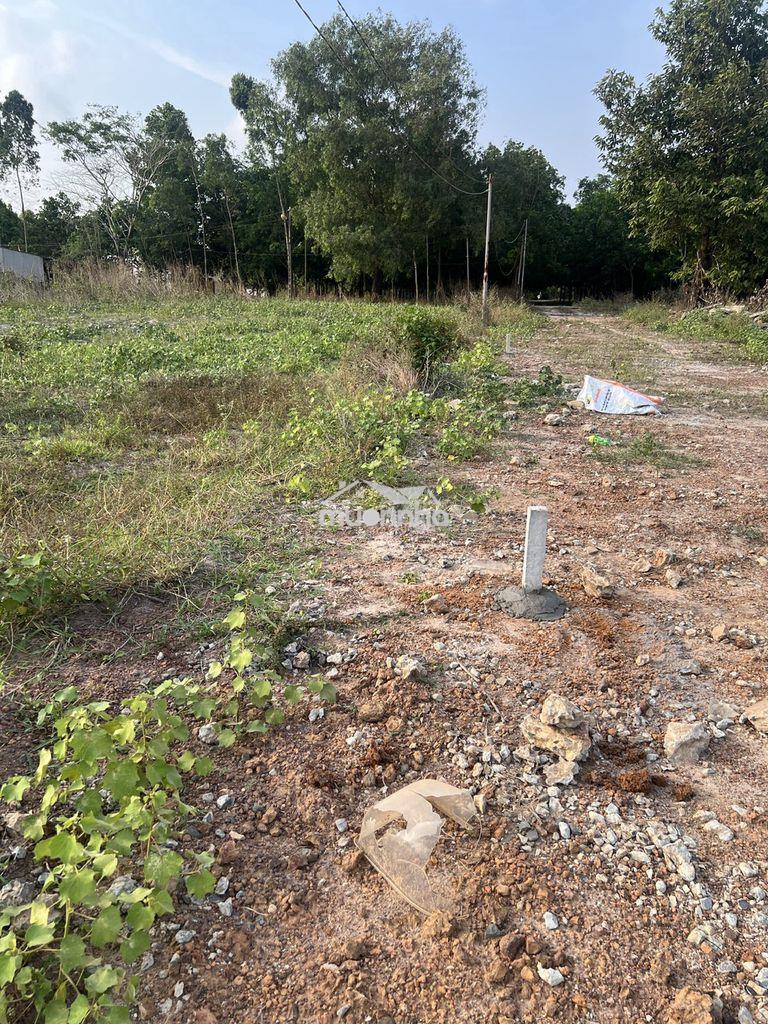 Cần bán lô đất 520m2 ngay cổng sân bay long thành. cạnh chợ bình sơn - 2