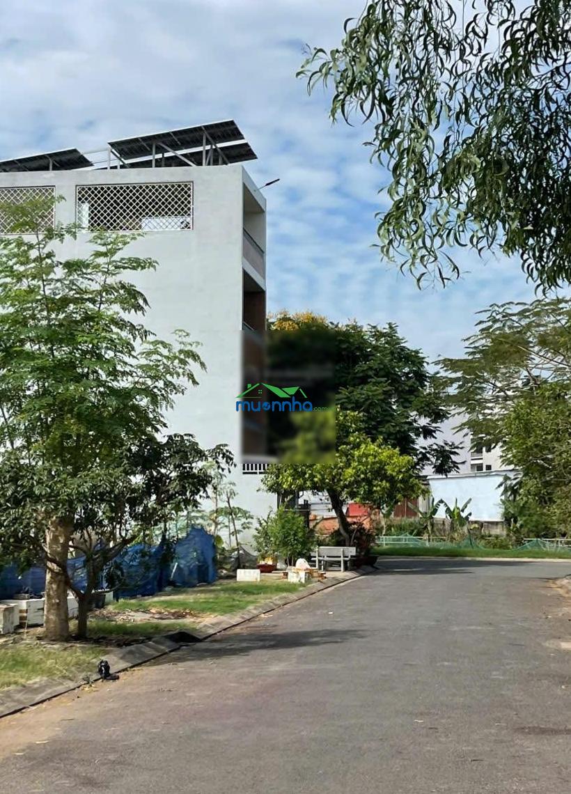 Hàng hiếm đặng thùy trâm nở hậu 10m, giá đầu tư - 3