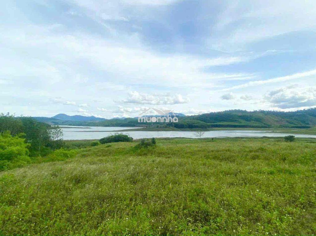 🌄 Sở hữu ngay view hồ triệu đô – giá chỉ 720 triệu! 8.205 m2 - 2