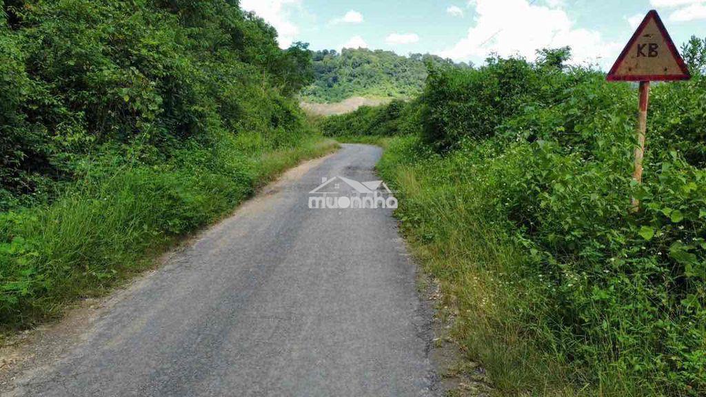 🌄 Sở hữu ngay view hồ triệu đô – giá chỉ 720 triệu! 8.205 m2 - 3