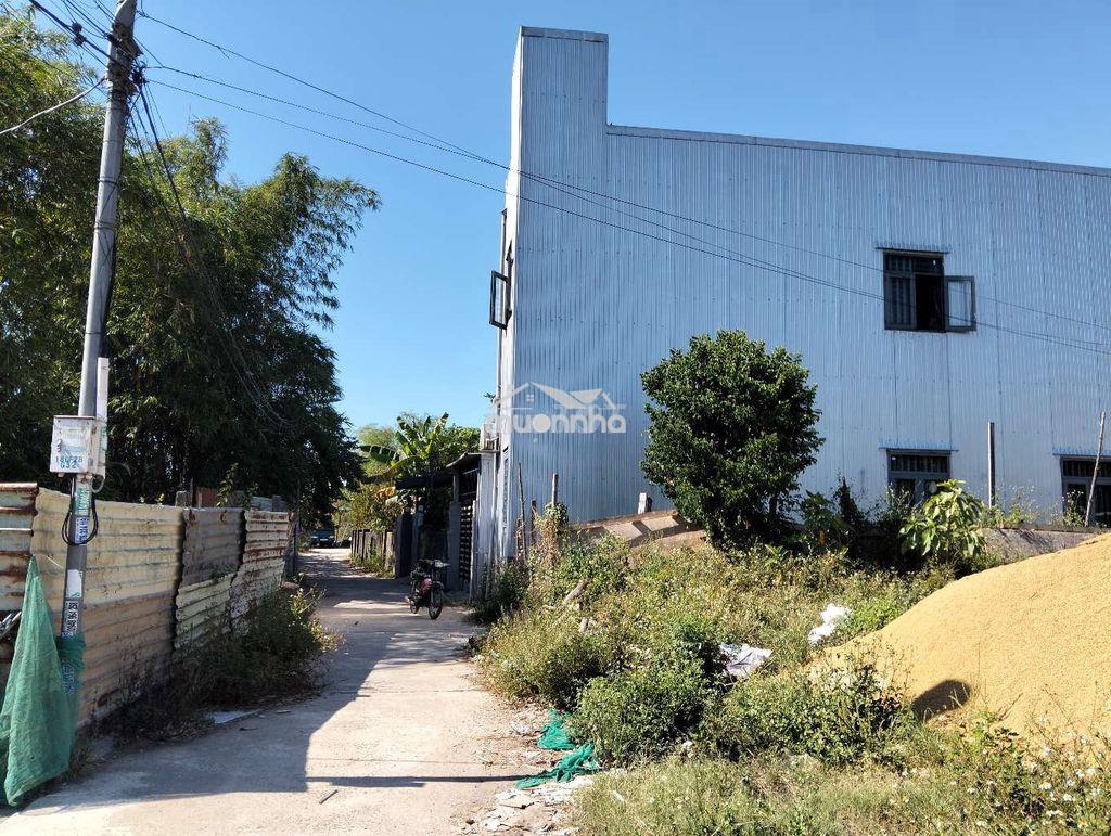 Lô đất sổ hồng đất trồng cây hàng năm. tôn đản. đà nẵng  - 3