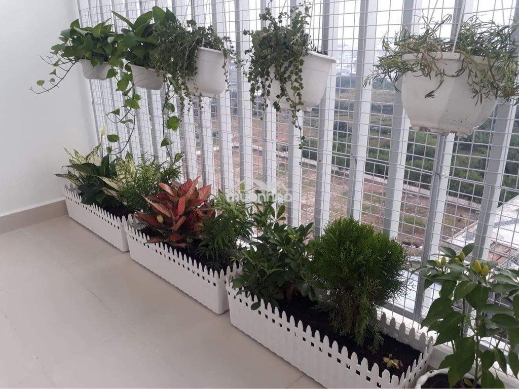 Cho thuê cc orchid park, phú xuân, nhà bè, 7 triệu, 75m2 - 4
