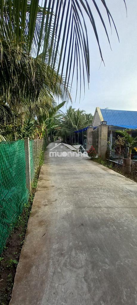 Cơ hội sở hữu quỹ đất lớn tại vị trí "vàng" của xã vĩnh kim - 3