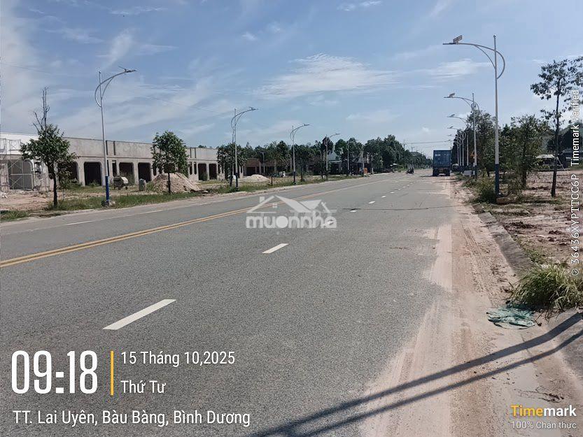Shophouse chợ đêm khu 5d lai uyên bàu bàng giá rẻ hỗ trợ vay 3 bên - 3