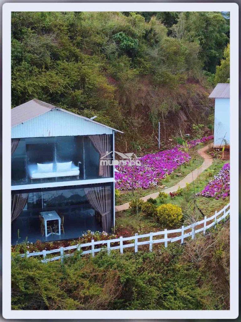 Cho thuê tổ hợp cafe & homestay tại vạn thành, đà lạt - 2