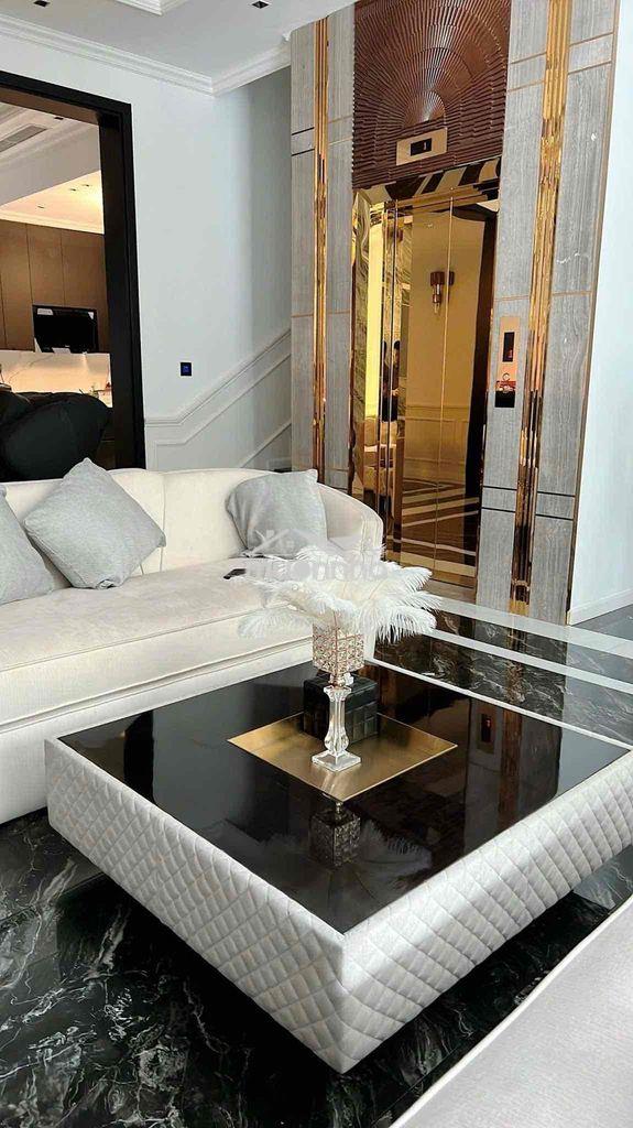Cho thuê biệt thự vip 8 phòng ngủ - thang máy- full nội thất - 3