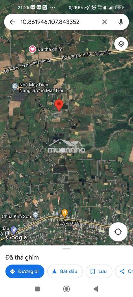 Bán 6,7ha đất nông nghiệp trồng thanh long có sổ - 3