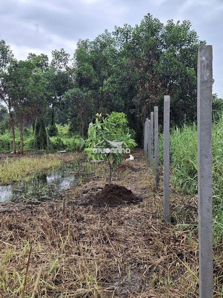 Bán đất xã lê minh xuân, bình chánh gần đường vành đai 3, giá 2.8tr/m2 - 3