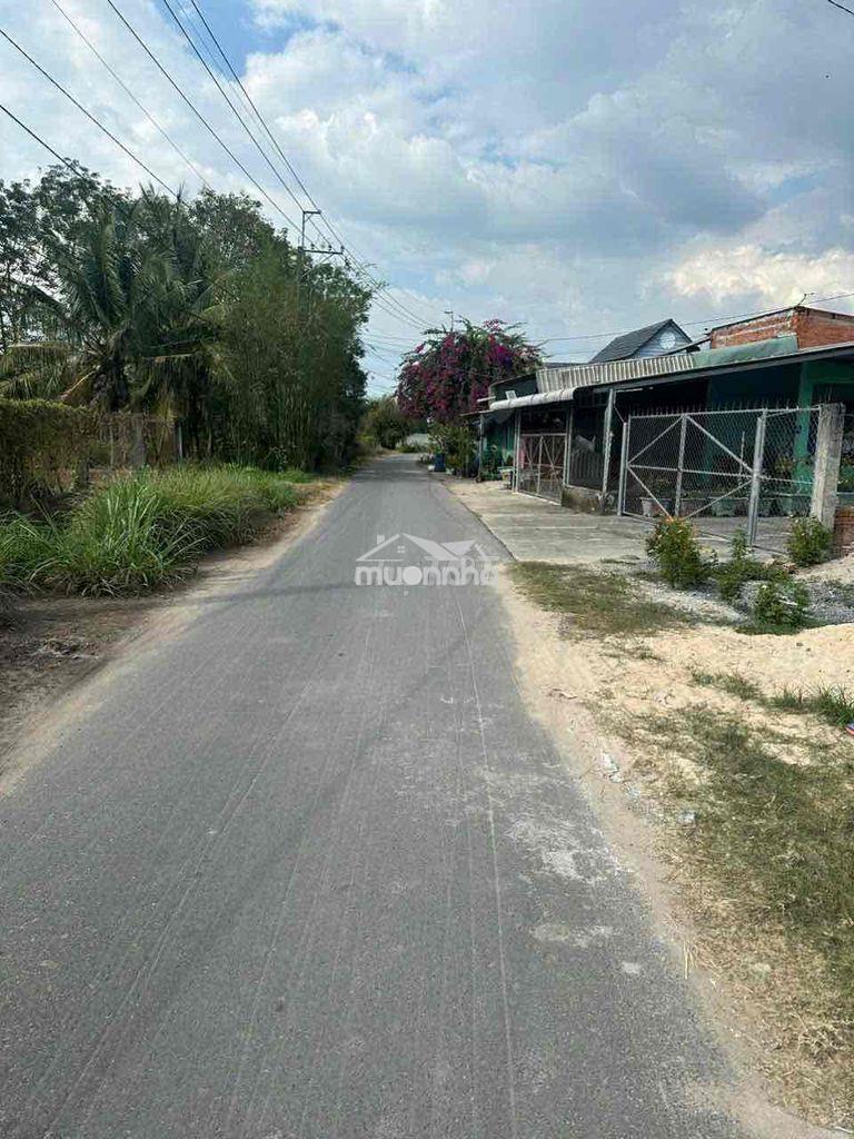 Nhà vườn 300m2 củ chi , cần bán gấp , 2 tỷ 8 thương lượng - 3