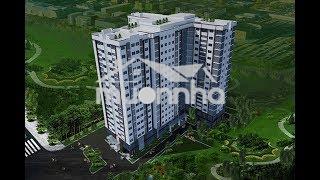 Felisa bến bình đông