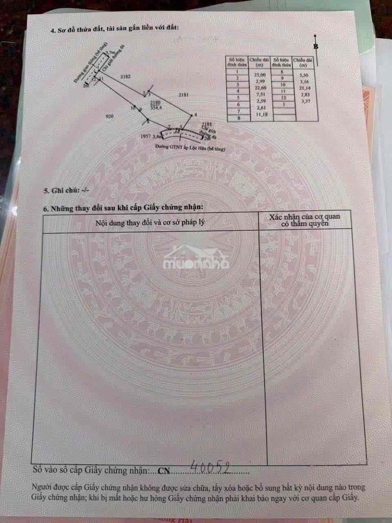 354m đất thổ cư đường ô tô ở cần giuộc giá rẻ - 4