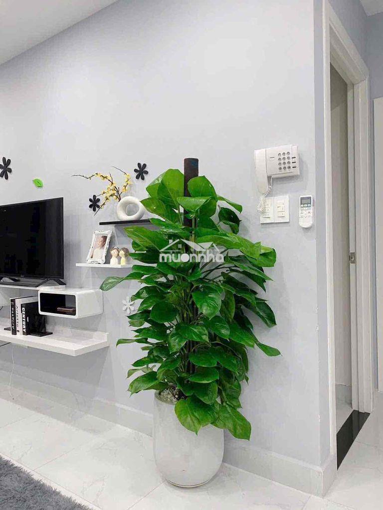 Cho thuê căn hộ chung cư golden mansion 2pn 1wc gần công viên gđ - 4