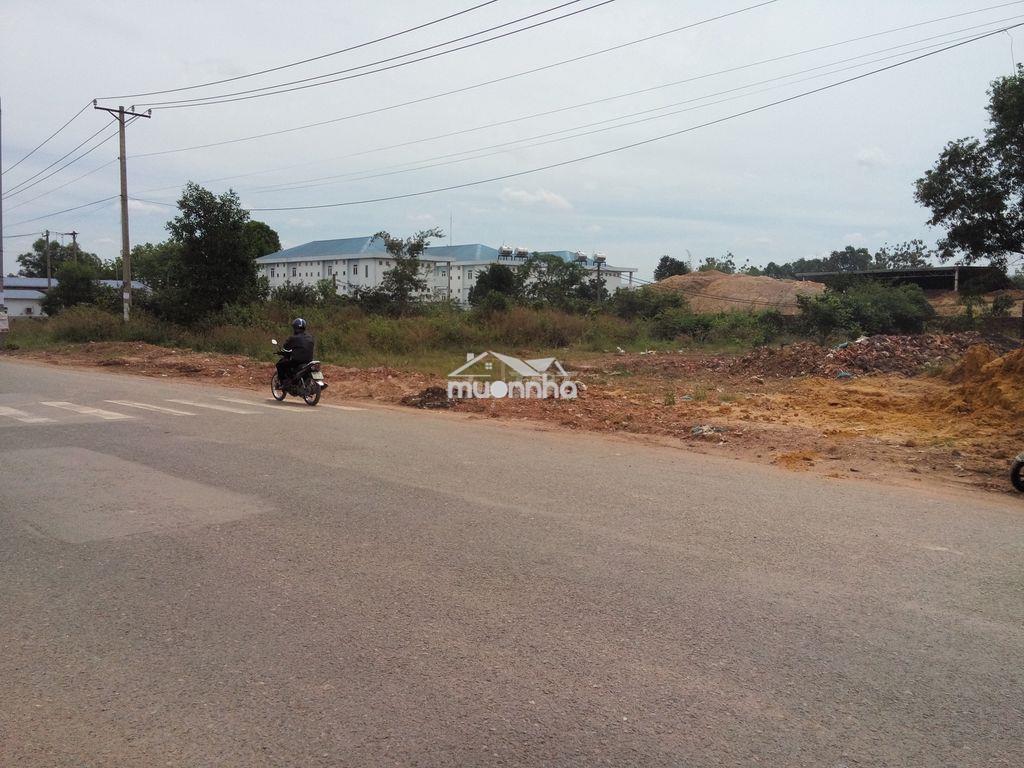 Bán đất mặt tiền chính chủ gần sân bay long thành miễn trung gian - 4