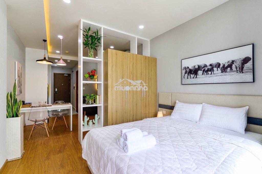 Cho thuê căn hộ 1pn đến 3pn everrich quận 5 giá chỉ từ 1o triệu/tháng - 4