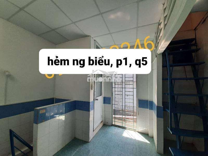 Cho thuê nhà nhỏ nguyên căn giá rẻ hẻm nguyễn biểu,p1, q5, hcm - 3