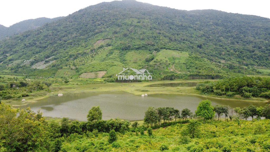 Đất view hồ krông bông ô tô tới đất đất có tmdv, hợp làm farmstay - 4