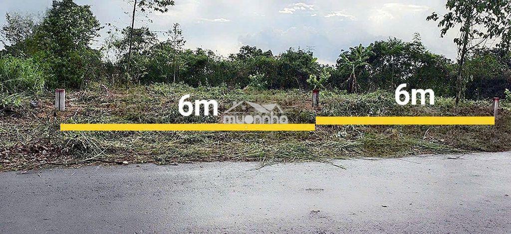 Bán đất thổ cư 2 mặt tiền đường nhựa ô tô vi vu tp đồng nai chỉ 620tr - 4