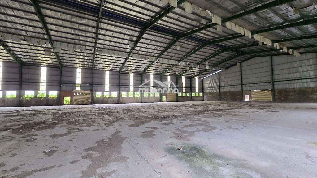 Bán kho xưởng 17155m2 tại dt 833, p5, tân an cũ - 3