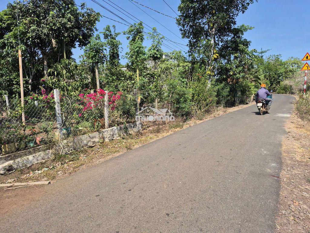Đất nền thổ cư, mặt tiền đường nhựa chủ gấp bán chỉ hơn 400 triệu - 3
