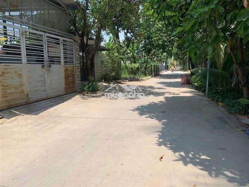 Nhà bình nhâm 58, hẻm đường cây me vào chùa bửu minh,3pn