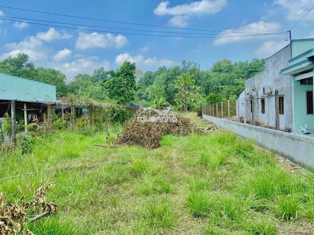 Chính chủ bán gấp 436,8m2 thổ cư 300m2 tân an hội , củ chi giá 850tr - 2