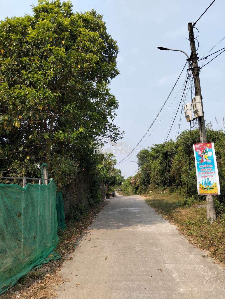 Lô đất quy chủ 220m2 k 129 vũ lăng. đà nẵng - 4