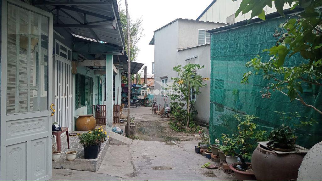 Cần tiền bán gấp nhà cấp 4 giá 500 triệu - 3