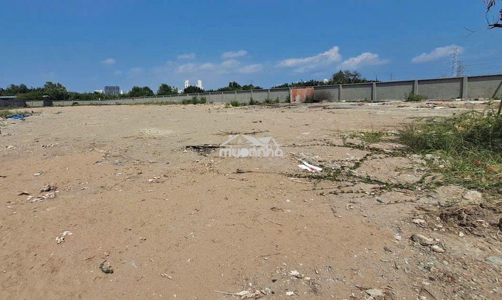 Cho thuê đất nguyễn hữu thọ – 5.500m2 – làm bãi xe, tập kết hàng - 3