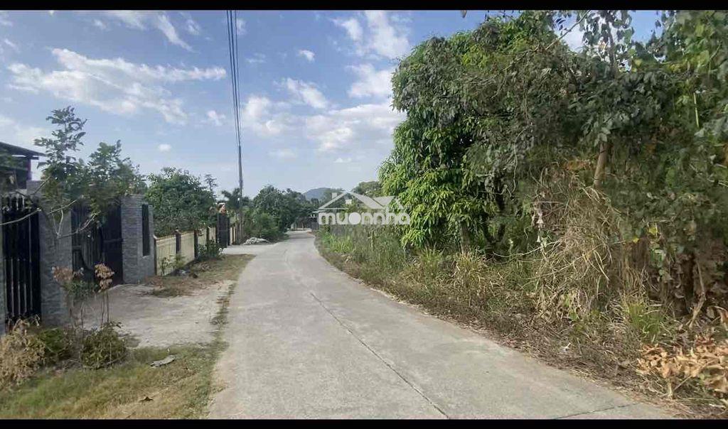 [ Tân phú-đồng nai] 1000m2 cần bán đường xe hơi - 4