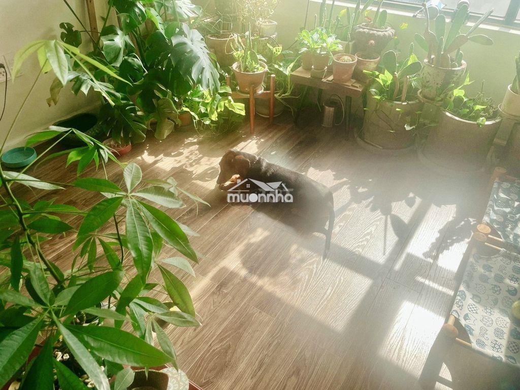 Ưu đãi tháng 6 cchủ bán ch flora mizuki hướng đông view q1 sổ hồng  - 3