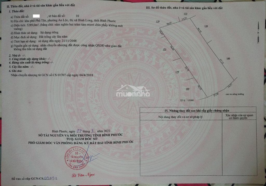 Chính chủ cần bán đấ bình long, tp.đồng nai (tx bình long, bình phước) - 4