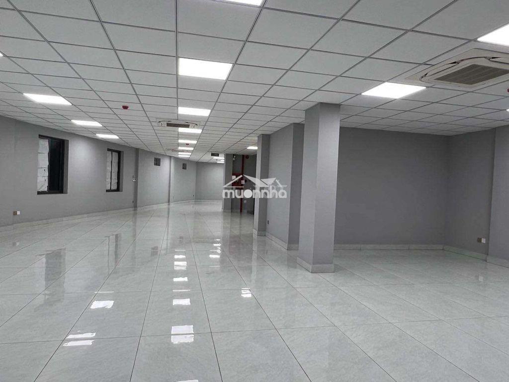 Cho thuê nhà nguyên căn mặt tiền đường bờ bao tân thắng, tân phú - 2