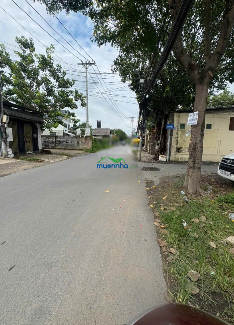 Nhà hxh đường bưng ông thoàn gần đường liên phường q9 167m2 ngang 12,6x13,25m 7 tỷ sổ hồng - 4