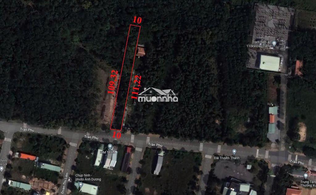 Bán đất ngay tại đường trần phú, trung tâm thị trấn dầu tiếng. - 4