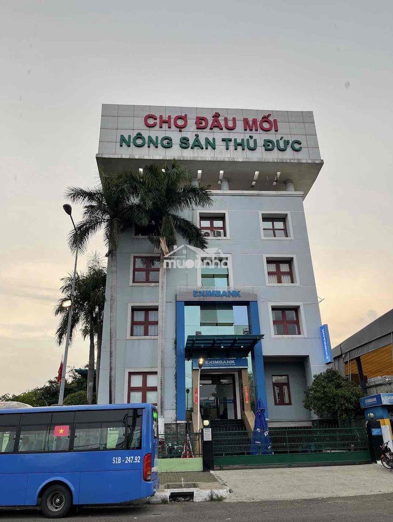 🔥 Sát vách chợ đầu mối thủ đức -hiệp bình – chỉ 5 căn ra ql13 🔥