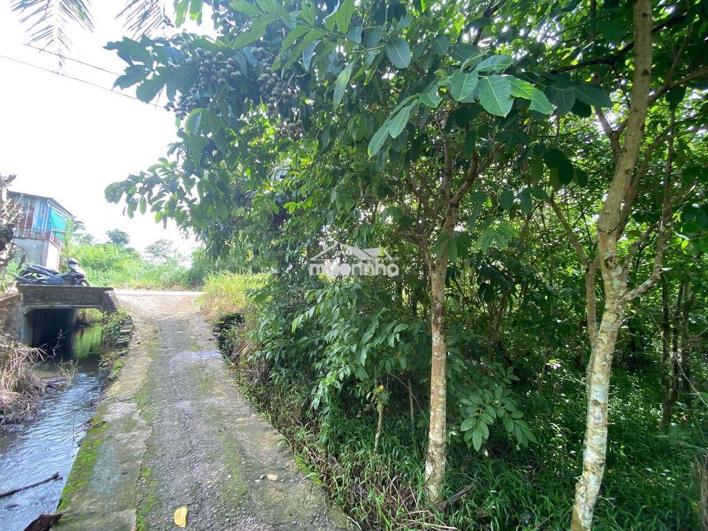 Săn đất mặt tiền lớn 765m² - đối diện khu dân cư - 4