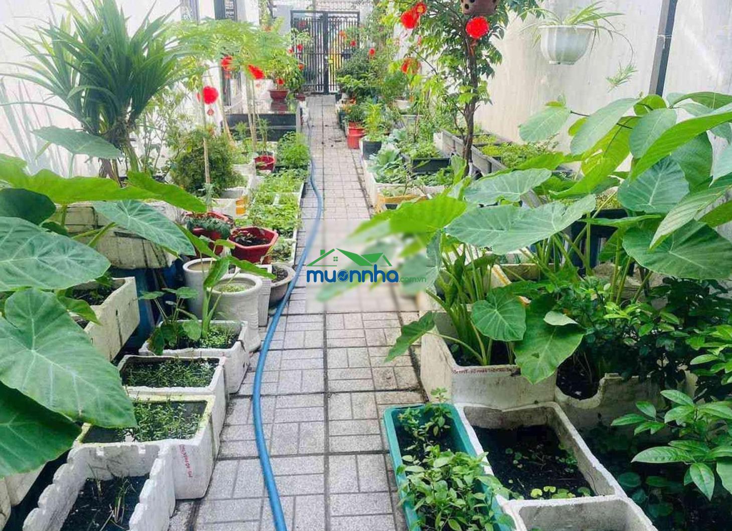 Nhà vườn 160m2 - đủ chỗ cho cả gia đình "chill" cuối tuần!
