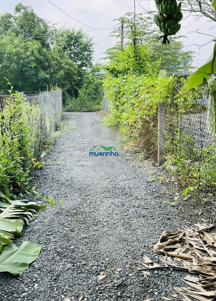 Bán nhà vườn nghỉ dưỡng hưng long, bình chánh 485m2 - 4