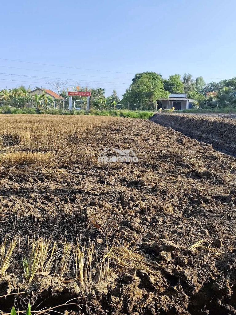 5 nền ngang 10 dài 50  xã đức hoà tây ninh