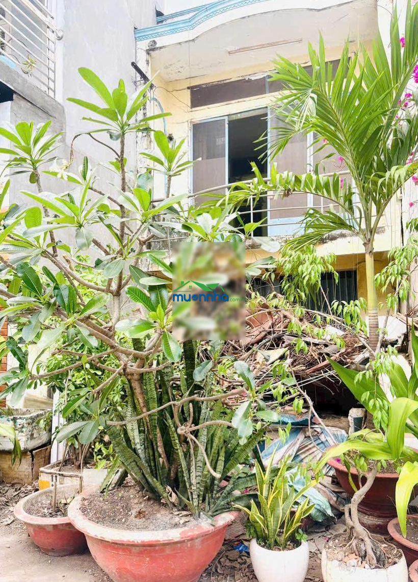 Cần bán nhà nát tính theo giá đất đường 12m, nguyễn quý yêm, phường an lạc